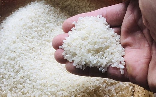 石垣島産 於茂登(おもと)のひかり 5kg みやぎ米屋【 日本一早い新米の産地 石垣 米 お米 産地直送 旬 しきゆたか 沖縄県 石垣市 】MK-1