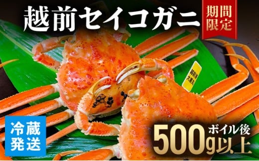 越前セイコガニ 　ボイル後500g以上 (ボイル前600g前後) 冷蔵 お届け時期：11月10日以降順次発送【マイマルシェ 敦賀 越前蟹 カニ 蟹 セイコガニ 海鮮 かに鍋 かにしゃぶ NEW 新規】[090-a015]
