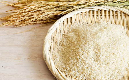 黒米・塩米（コシヒカリ）約10kg