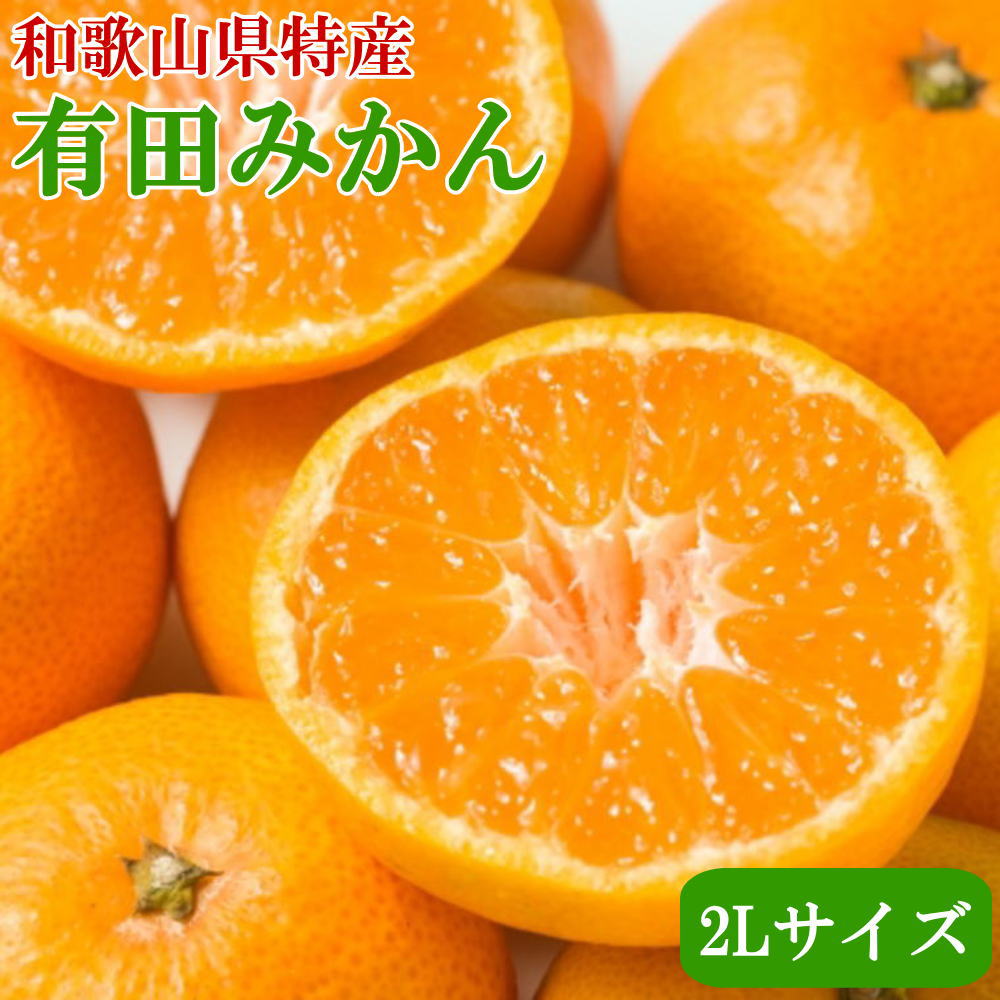 【ふるさと納税】 [秀品]和歌山有田みかん 9kg(2Lサイズ) ※2026年11月中旬～2027年1月中旬頃順次発送予定（お届け日指定不可）