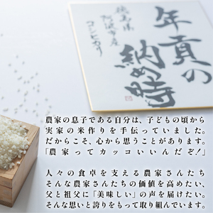 【お米】 コシヒカリ 5kg 令和7年産