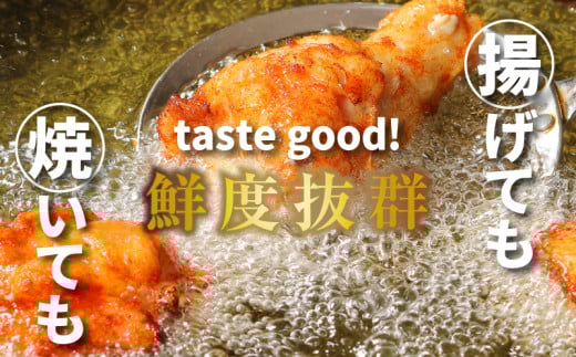 2週間以内に発送【訳あり】九州産若鶏手羽元 揚げるだけスパイシーチキン3kg  K16_0085_1S