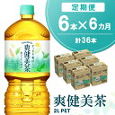 【ふるさと納税】【6か月定期便】爽健美茶 2L×6本(1ケース)【コカコーラ カフェインゼロ 香ばしい おいしい ブレンド茶 お茶 国産 ハトムギ 玄米 大麦 ドクダミ ハブ茶 チコリー 麦芽 植物素材 飲料 お徳用 ペットボトル】C1-R090354