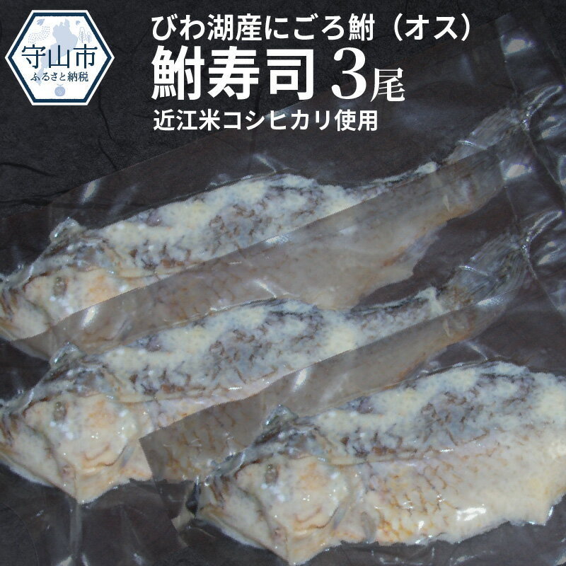 【ふるさと納税】びわ湖産にごろ鮒（オス）鮒寿司 3尾 滋賀県（近江）の郷土料理 名産 ふなずし 琵琶湖産ふな使用 発酵食品 おつまみ 酒の肴 日本酒のお供に