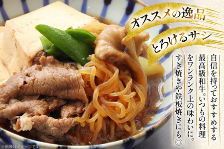 牛肉 切り落とし 長崎和牛 切り落し500g [大川ストアー 長崎県 東彼杵町 hs42bag580004] 肉 牛肉 すき焼き