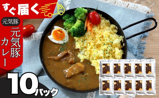 ＜千葉県産三元豚使用＞元気豚 カレーセット　2kg(200g×10食分) ／ふるさと納税 豚肉 三元豚 元気豚 カレー レトルトカレー 千葉県産 多古町 MT203971_04