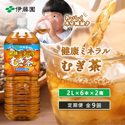 ふるさと納税 恵庭市 『定期便:全9回』健康ミネラル麦茶2L×6本×2箱【50002101】