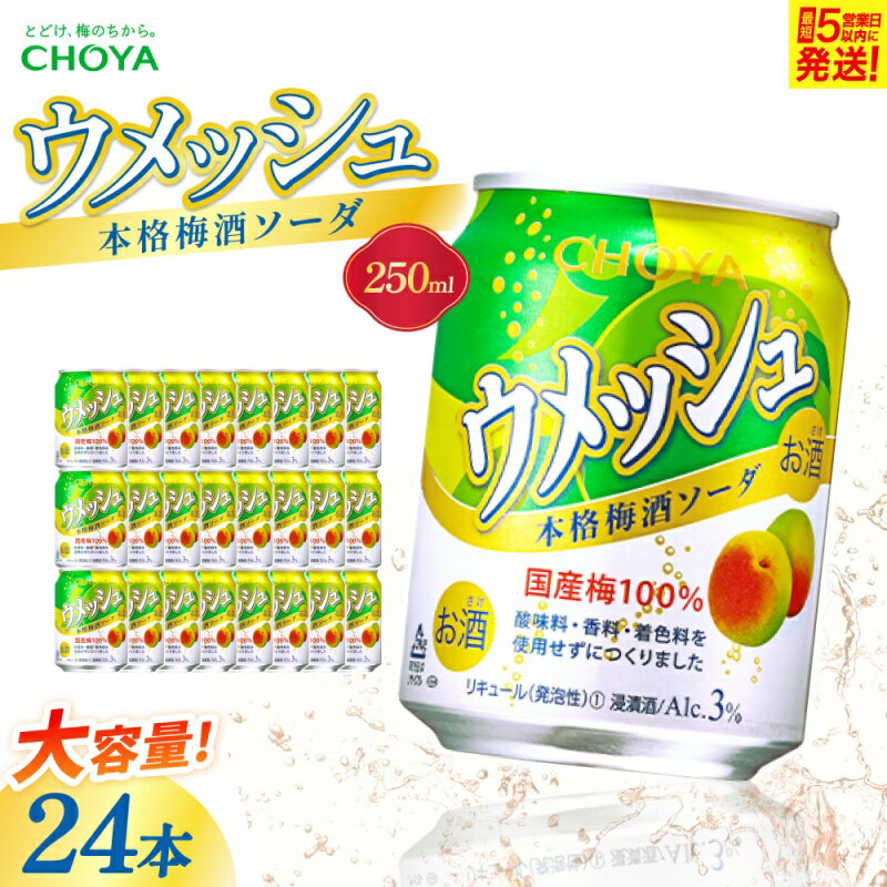 【ふるさと納税】梅酒 《チョーヤ ウメッシュ 本格梅酒ソーダ缶》（250ml×24本）/さーらりとした梅酒！でお馴染みの梅酒を本格梅酒 ソーダでお届け！ 梅酒 ウメ 梅 ソーダ 果実 果実酒 250ml 24本 リキュール しゅわしゅわ炭酸 缶 飲料 ウメッシュ 送料無料