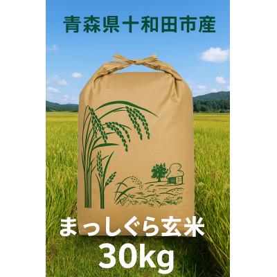 ふるさと納税 十和田市 【令和7年産】青森県産まっしぐら30kg(玄米)