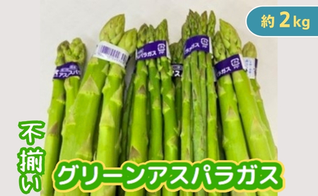 グリーンアスパラガス アスパラガス 香川県産 観音寺産 讃岐 不揃い サイズ混合 約2kg 100g × 20束 国産 サイズおまかせ シャキシャキ 甘み うま味 野菜 旬野菜 農産物 混合品 サラダ 炒め物 天ぷら 肉巻き アスパラ 香川県 観音寺市