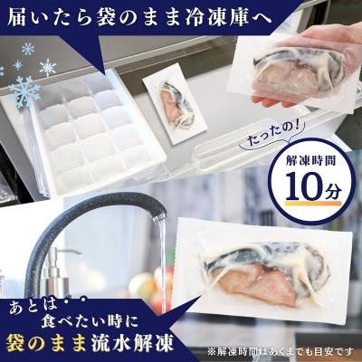 ふるさと納税 焼津市 さわら粕漬け　約80g×10切れ(a11-182) |  | 03