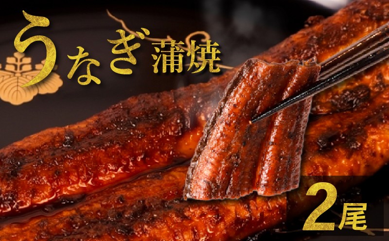 
                  うなぎの蒲焼 2尾 うなぎ ウナギ 鰻 蒲焼 蒲焼き 国産 冷凍
                