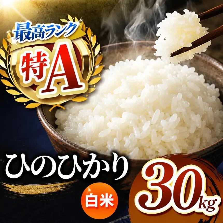 R7年産 熊本県産 ひのひかり 白米 30kg