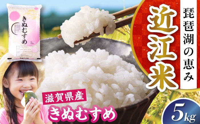 ＜先行予約＞【令和8年産 新米】米 きぬむすめ 5kg 白米 滋賀県長浜市/株式会社コメック [AQDH005] 米 お米 白米 5kg キヌムスメ 滋賀県産 長浜市産 こめ 精米 お米  食品 国産 米ギフト ブランド米 食卓 美味しい 冷めても美味しい 人気 お弁当 和食 ご飯のお供 上品な 甘み あっさり カレー 丼 卵料理
