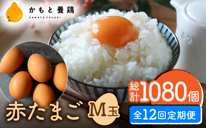 【全12回定期便】赤たまご M玉 90個（85個＋5個割れ保証）【農事組合法人 鹿本養鶏組合】 [ZCA016]