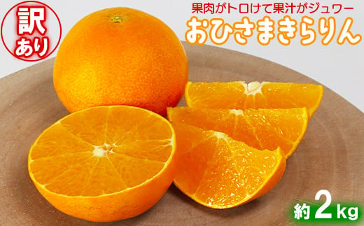 
【訳あり・優品】今村農園の「おひさまきらりん 約2kg」 甘い オレンジ みかん 清美 12月発送 1月発送 先行予約 2kg わけあり 柑橘類 フルーツ ＜107-018_5＞
