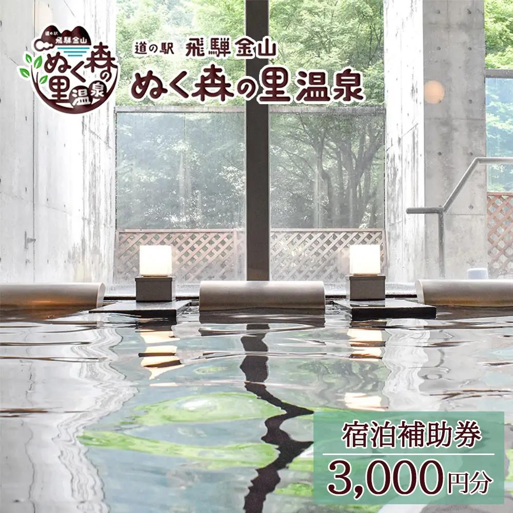 下呂温泉【道の駅 飛騨金山ぬく森の里温泉】宿泊補助券（3,000円分）【a019-1】