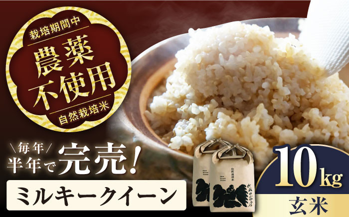 
            【先行予約/令和7年産新米】ミルキークイーン 10kg（5kg× 2） 玄米 自然栽培米  長浜市/株式会社お米の家倉 [AQCP005] 米 お米 玄米  10kg  ミルキークイーン 自然栽培米  滋賀県産 長浜市産 こめ 玄米 白米 精米 お米 新米 食品 ふるさと納税 国産 炊きたて 米ギフト もちもち ブランド米  食卓 美味しい 産地直送 節約 人気
          