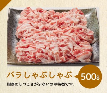 宮崎県産豚肉 バラエティ4種 2.5kg【毎日使える便利な豚肉セット しゃぶしゃぶ用 豚肉ロース 豚肉バラ 豚肉切り落とし 国産豚肉 宮崎県産豚肉 肉 豚肉】