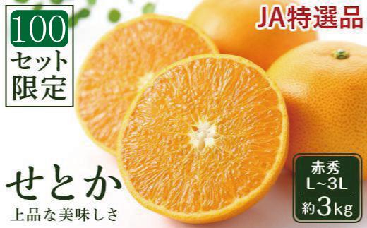 【先行受付】JAえひめ中央 ☆100セット限定☆JA特選品 せとか 赤秀 L～3L 約3kg 数量限定 おすすめ 人気