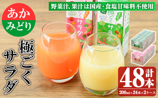 「みどり」と「あか」の極ごくサラダセット（野菜ジュース）_keizai-1255