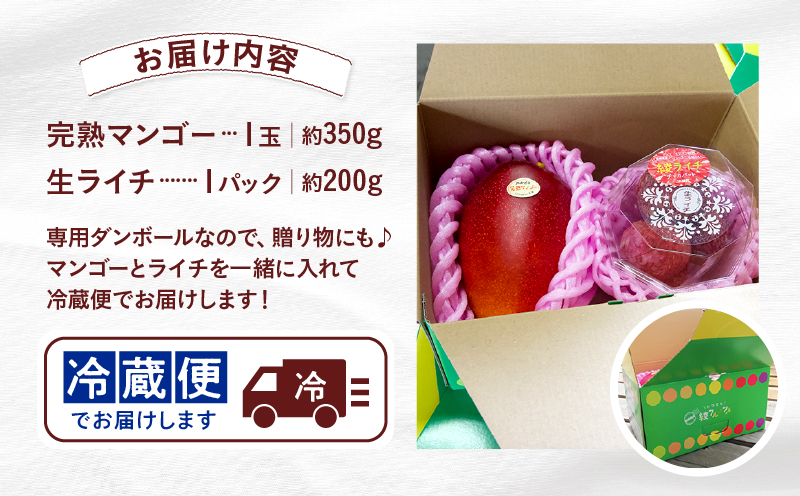 先行予約 数量限定 希少 完熟マンゴー 1玉 生ライチ 1パック セット マンゴー 宮崎 国産ライチ 果物 フルーツ くだもの 2027年 国産 高級 南国フルーツ 詰め合わせ おすすめ ギフト 贈り物 プレゼント ご褒美 お祝い デザート 冷蔵 綾町 送料無料 【JA綾町】_A0114-2094