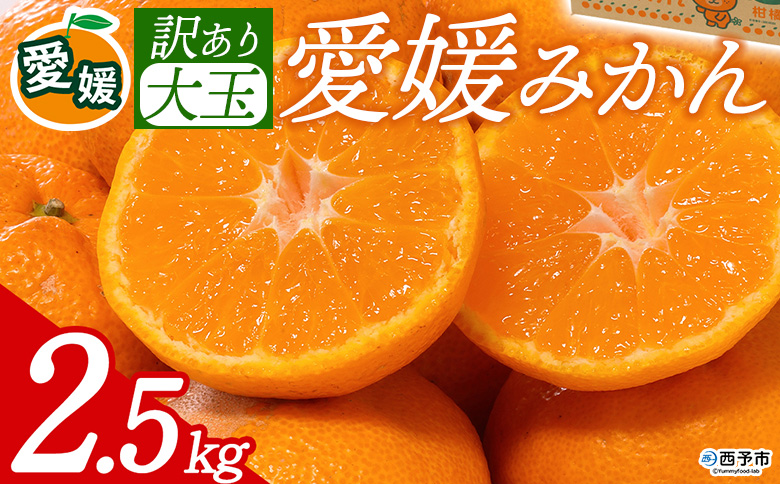 先行予約＜訳あり 大玉 愛媛みかん 合計約2.5kg＞ 『2026年11月以降順次出荷予定』ミヤモトオレンジガーデン 愛媛県 西予市