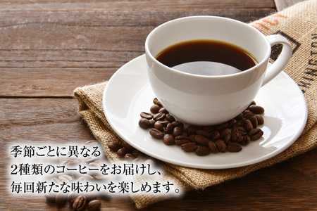 コーヒー 珈琲 【挽き】12回 定期便 自家焙煎 スペシャルティ 季節 ギフトセット 200g 2種類 総計4.8kg 詰め合わせ セット 飲み比べ こだわり [アフターゲームカフェ 山梨県 韮崎市 
