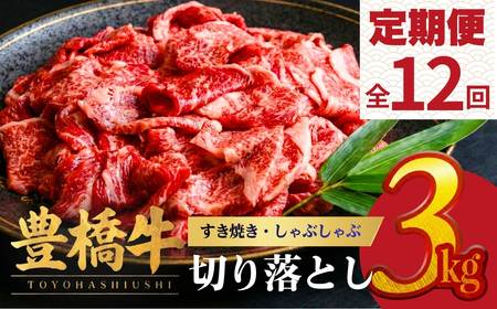 豊橋牛 定期便 12回 毎月お届け 3kg 牛肉｜ 定期便