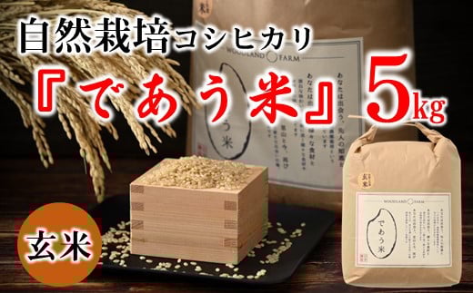 数量限定 米 5kg 令和7年産 新米 こしひかり 自然栽培 玄米 栄養 豊富 お米 こめ おこめ ご飯 ごはん R7 2025年産 こだわり おいしい 美味しい であう米 石川県 能登 羽咋