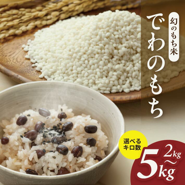【ふるさと納税】もち米 でわのもち 選べるキロ数 2kg 3kg 5kg 令和7年産 山形県酒田産 東北 山形県 酒田市 庄内地方 庄内平野 おもち 餅 餅米 おこわ お雑煮 お汁粉