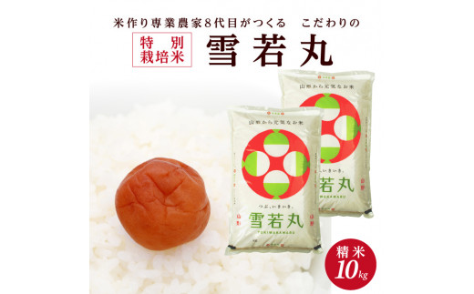 【令和8年産 新米予約】［精米］特別栽培米 雪若丸　10kg(5kg×2袋)「農家直送」 KA SC0675