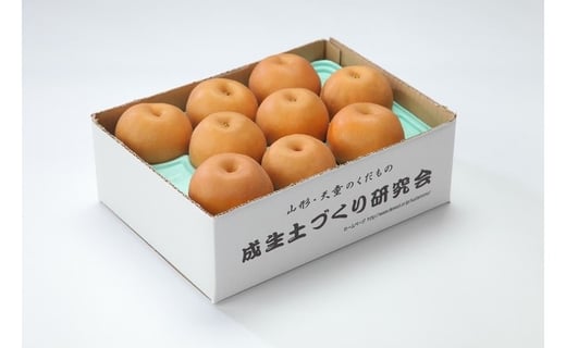 07-05-010　和梨(南水)約2.5kg