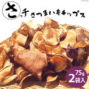 【ふるさと納税】【先行受付】さつまいもチップス「さっチ」75g×2 [リロカリコクリ 宮城県 加美町 44581427] 菓子 おやつ チップス さつまいも 加美町産