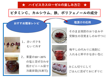 ＜塩ローゼル＞自然農育ちのハイビスカスローゼル 宮崎県三股町産 風味豊かなハーブの塩漬け 栽培期間中農薬不使用 ビタミンC カルシウム 鉄 ポリフェノール【MI624】【美香園】