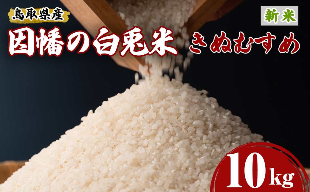 ＜2025年10月中旬～2026年8月下旬発送予定＞＜数量限定＞【因幡の白兎米】令和7年産新米きぬむすめ10kg(5kg×2袋)【sm-DD070】【Workplays】