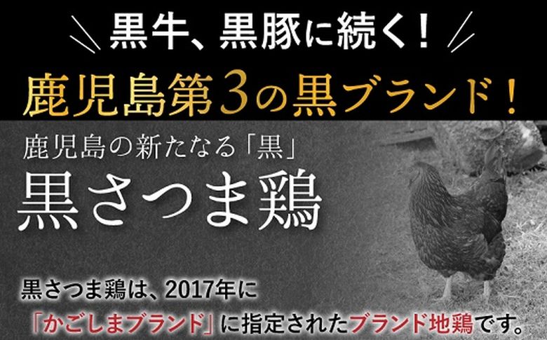 028-27 黒さつま鶏しゃぶしゃぶ2～3人前