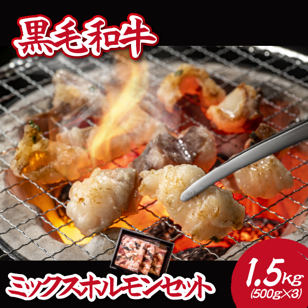 【C060】【自社農場和牛】黒毛和牛ミックスホルモン 1.5?（国産 黒毛和牛 牛肉 ホルモン 焼肉 BBQ）