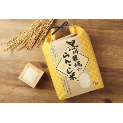 ふるさと納税 蘭越町 令和7年産 らんこし米 黒川農場 精米 ななつぼし 5kg