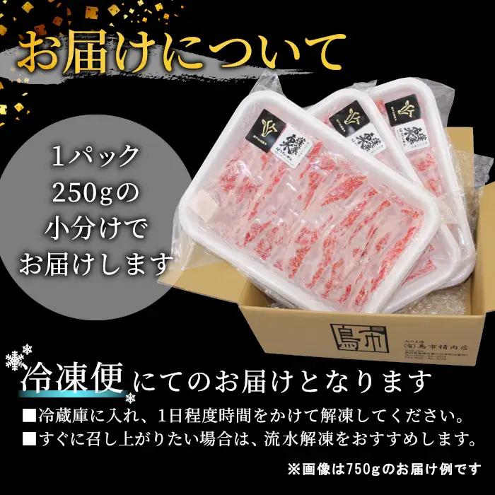 赤身がおいしい！国産牛  ロース肉スライス すき焼き・しゃぶ用 500g (250g×２）酒粕育ち 幻の牛 ロース スライス 牛肉 鉄板焼肉 焼きしゃぶ 薄切り鍋 蓬莱泉 段戸山高原牛-079