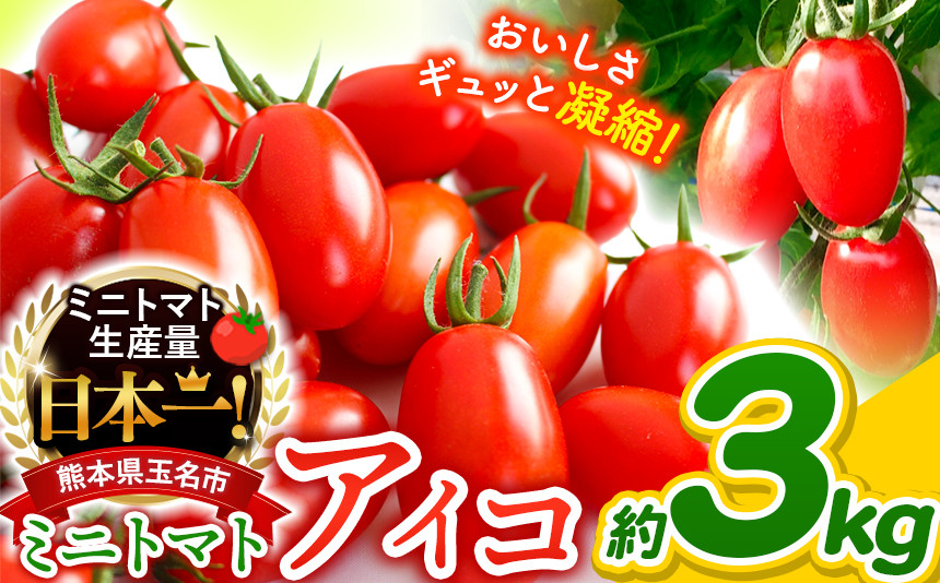 
ミニトマト アイコ 約 3kg トマト 熊本 サザキ農園 野菜 ミニトマト 生産量 日本一 玉名市 !!
