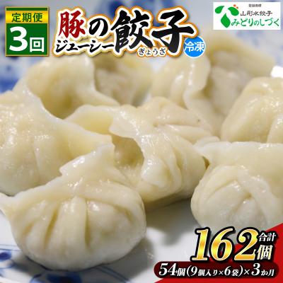 ふるさと納税 山形市 【定期便3回】豚のジューシー餃子 9個入り×6袋(54個)×3ヶ月(計162個) FY25-011