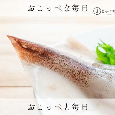 ふるさと納税 興部町 イカミミ3kg【20027】