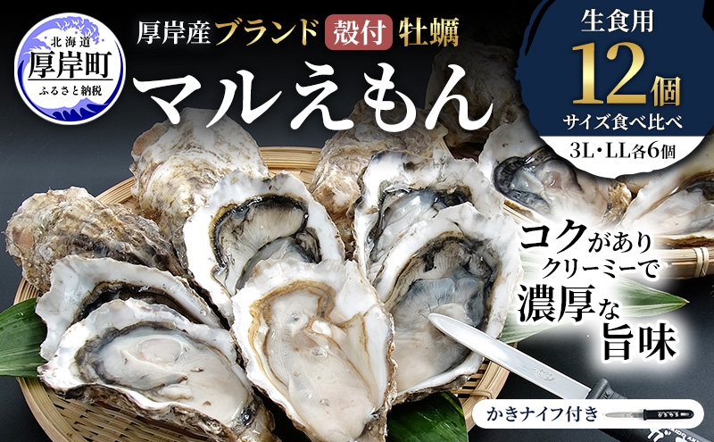 
                  厚岸産 ブランド 殻付カキ マルえもん 生食用 サイズ食べ比べ 12個 (3L・LL各6個)[ 魚貝類 生牡蠣 かき 牡蠣 カキ 生ガキ 食べ比べ ][№5863-1464]
                