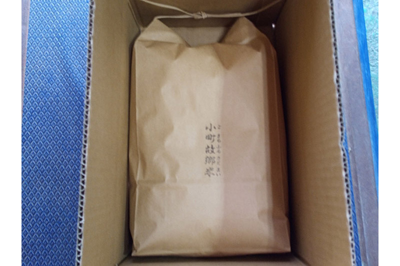 米 こまち故郷米 ＜ あきたこまち ＞ 白米 10kg (5kg×2袋) 令和7年産