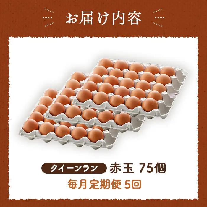 【毎月定期便】黄身がつかめる新鮮地たまご クイーンラン 赤玉 75個入り全5回 No.594