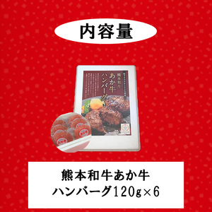 【三協畜産】熊本和牛 あか牛 熊本県産 肥育 加工品 阿蘇 熊本 褐毛和種 褐牛 和牛 あか牛100% 牛肉 ハンバーグ 120g 6個 計720g 惣菜 おかず ご飯のお供 熊本名物 ご家庭用 ギフ
