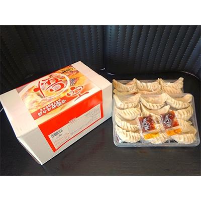 ふるさと納税 宇都宮市 餃子専門店 宇都宮悟空　ジャンボ餃子24個入 |  | 01