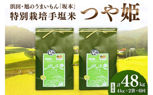 【定期便】【令和6年産】浜田・旭のうまいもん「坂本」特別栽培手塩米つや姫　4kg×2袋×6回 【1040】