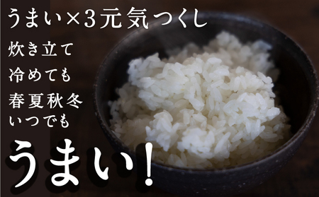 【特Aランク米】五庄屋の地で作ったお米 元気つくし 白米 (9kg)【Go庄屋合同会社】こめ コメ ごはん ご飯 福岡県うきは市産 九州産